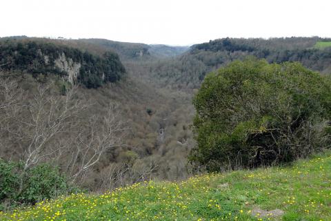 Forra del Fosso Cerreto e Castel d’Ischi