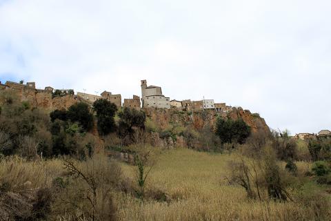 Sentiero immerso nella vegetazione della Valle Suppentonia